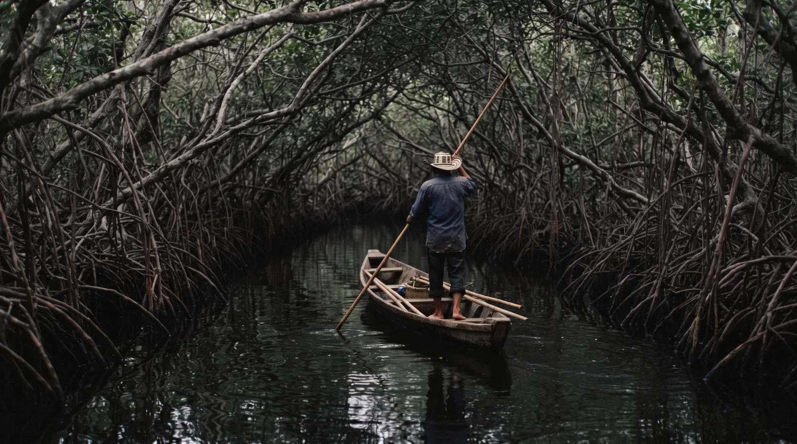 A wooden canoe gliding through a mangrove channel near La Boquilla north of Cartagena